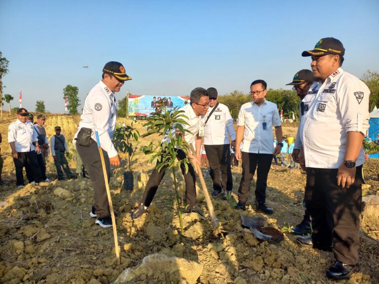 WhatsApp Image 2025-07-31 at 11.30.43