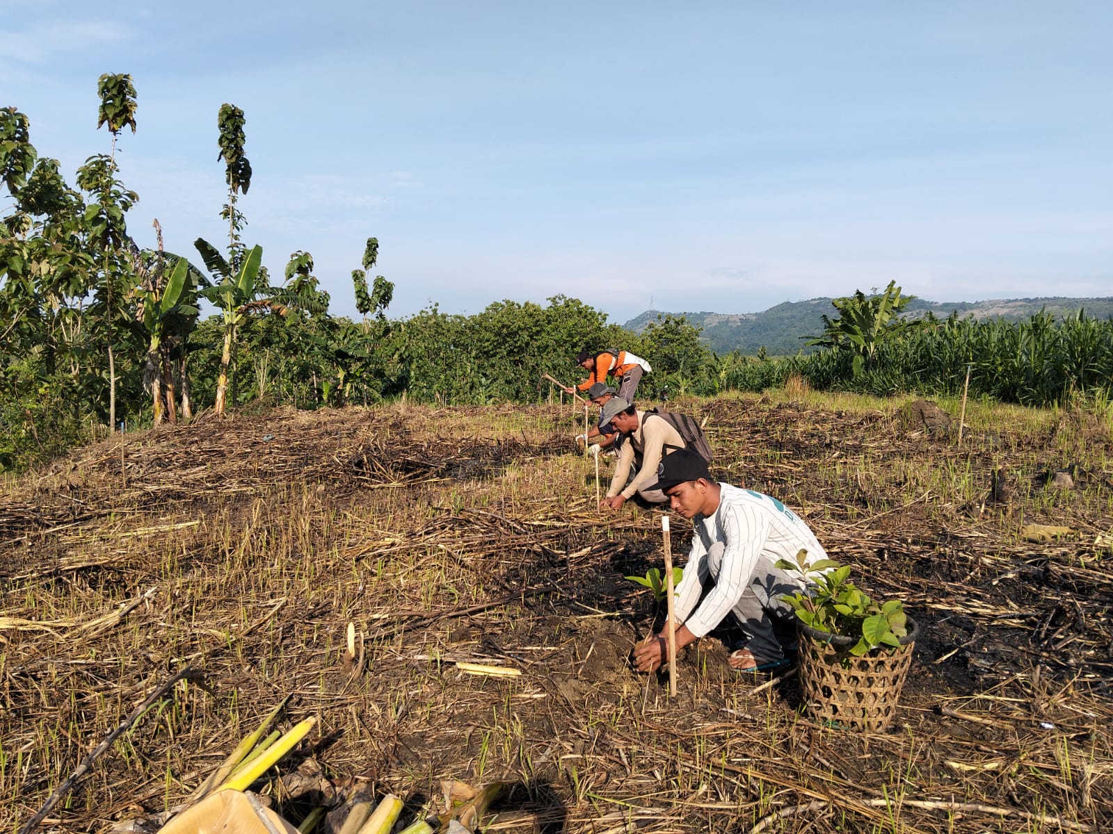 WhatsApp-Image-2025-11-05-at-10.46.27