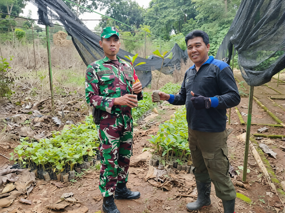 kebon16edit
